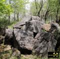 Quaderkalk Stbr. Luetzelbruch bei Lindelbach nahe Wuerzburg, Bayern, (D) - 18. Mai 2023 (5).JPG